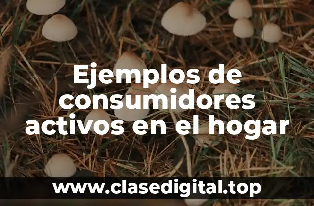 Ejemplos de consumidores activos en el hogar