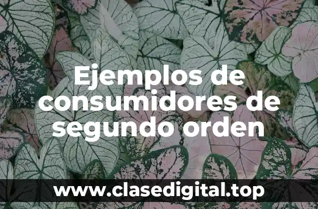 Ejemplos de consumidores de segundo orden