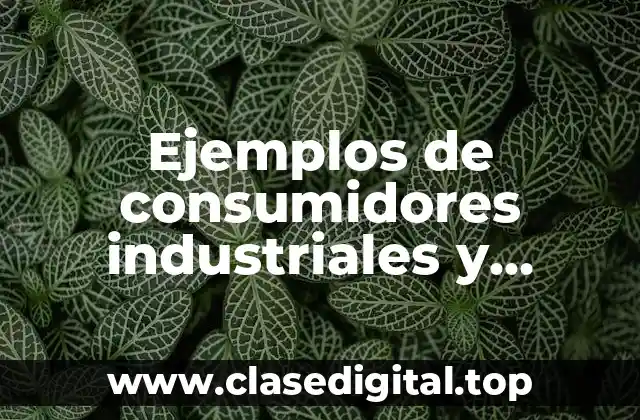 Ejemplos de consumidores industriales y Significado