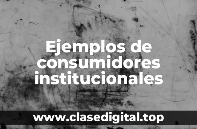 Ejemplos de consumidores institucionales