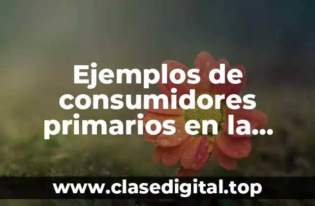 Ejemplos de consumidores primarios