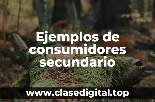 Ejemplos de consumidores secundario