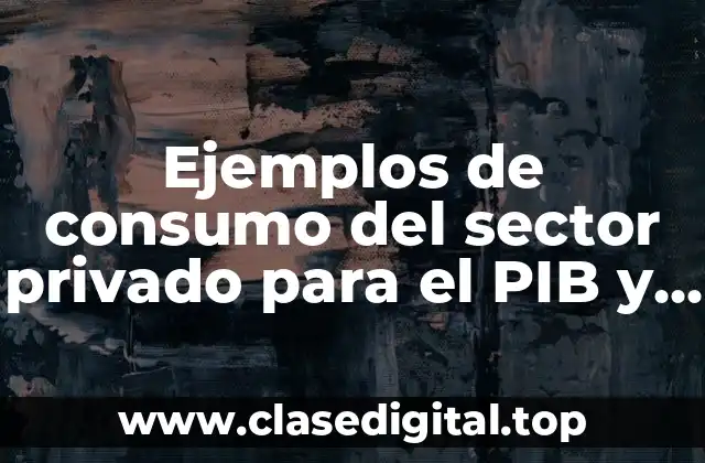 Ejemplos de consumo del sector privado para el PIB y Significado