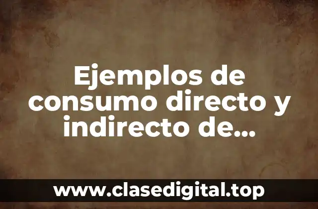 Ejemplos de consumo directo y indirecto de minerales y Significado