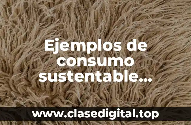 Ejemplos de consumo sustentable centrados en el agua
