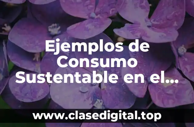 Ejemplos de Consumo Sustentable en el Hogar
