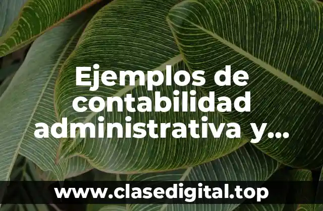 Ejemplos de contabilidad administrativa y Significado