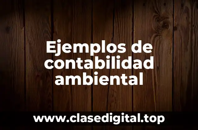 Ejemplos de contabilidad ambiental