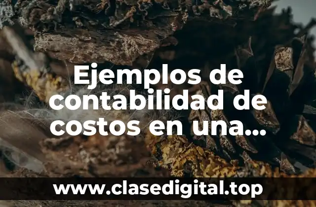 Ejemplos de contabilidad de costos en una empresa