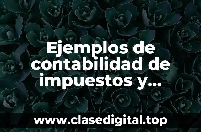 Ejemplos de contabilidad de impuestos y Significado