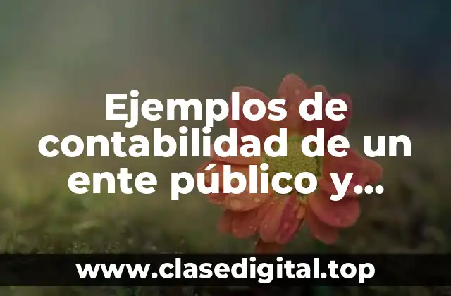 Ejemplos de contabilidad de un ente público