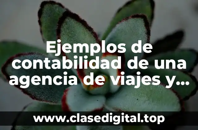 Ejemplos de contabilidad de una agencia de viajes