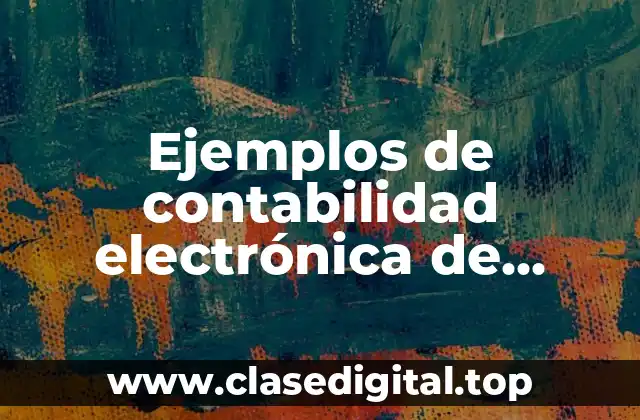 Ejemplos de contabilidad electrónica de personas físicas