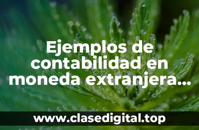 Ejemplos de contabilidad en moneda extranjera en México y Significado