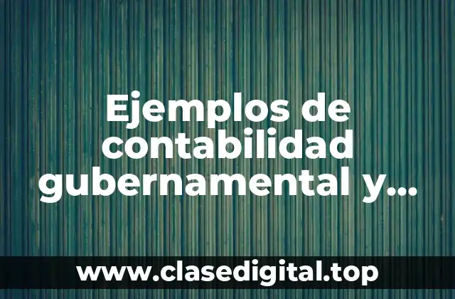 Ejemplos de contabilidad gubernamental y plan de cuentas