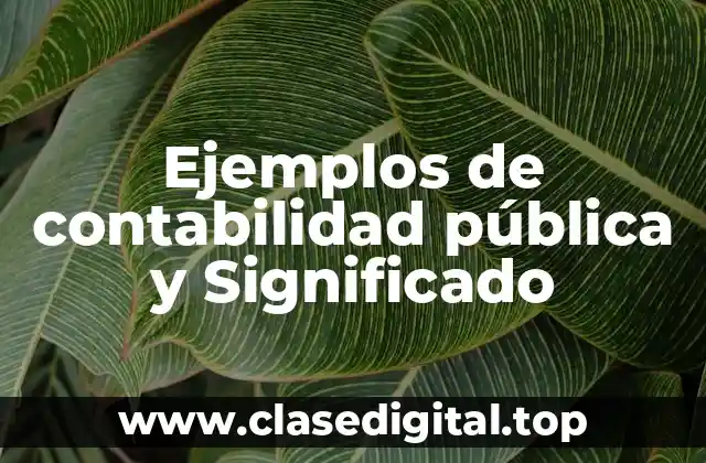 Ejemplos de contabilidad pública y Significado