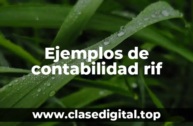 Ejemplos de contabilidad rif
