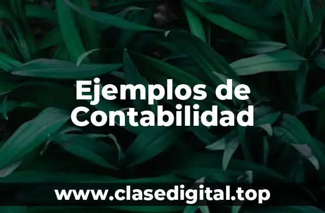 Ejemplos de Contabilidad