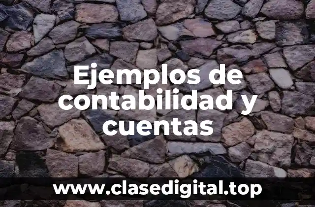 Ejemplos de contabilidad y cuentas