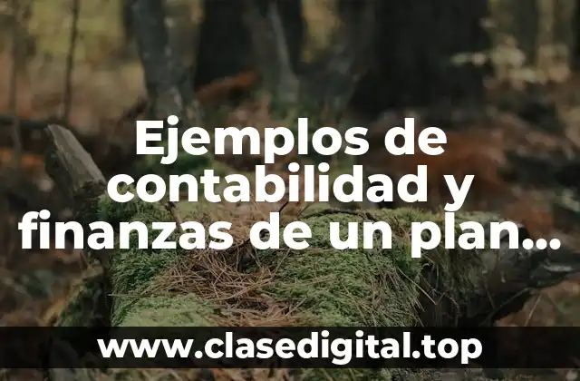 Ejemplos de contabilidad y finanzas de un plan de negocios