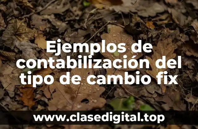 Ejemplos de contabilización del tipo de cambio fix