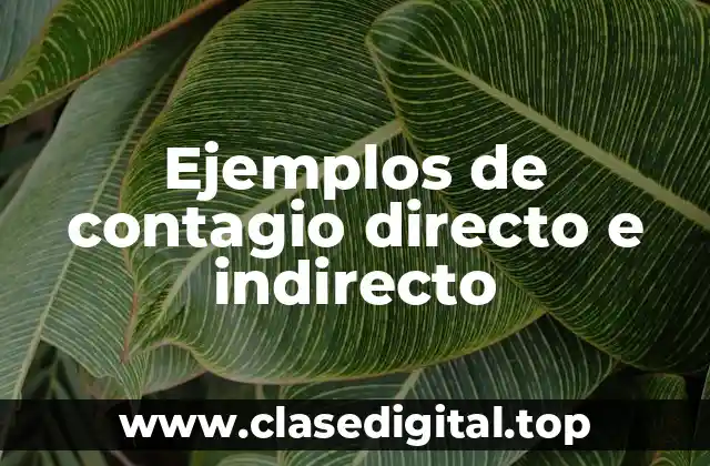 Ejemplos de contagio directo e indirecto