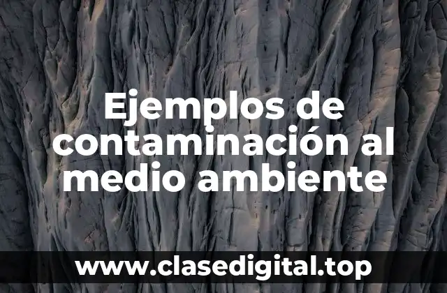 Ejemplos de contaminación al medio ambiente
