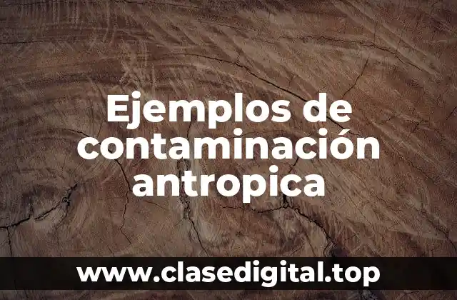 Ejemplos de contaminación antropica