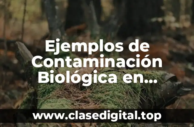 Ejemplos de Contaminación Biológica en Alimentos