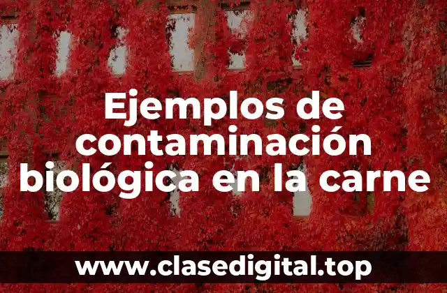 Ejemplos de contaminación biológica en la carne