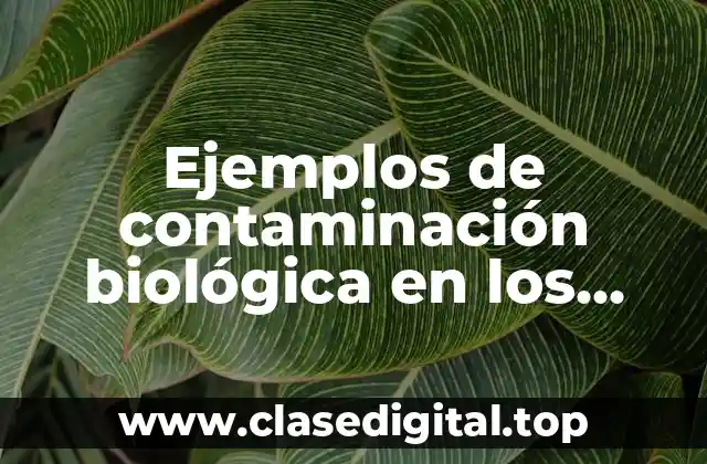 Ejemplos de contaminación biológica en los alimentos