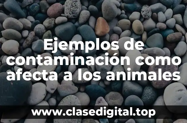 Ejemplos de contaminación como afecta a los animales