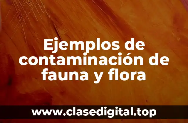 Ejemplos de contaminación de fauna y flora