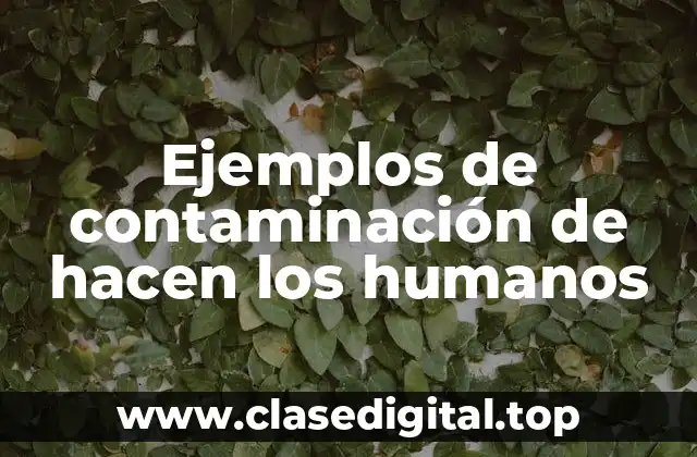 Ejemplos de contaminación de hacen los humanos