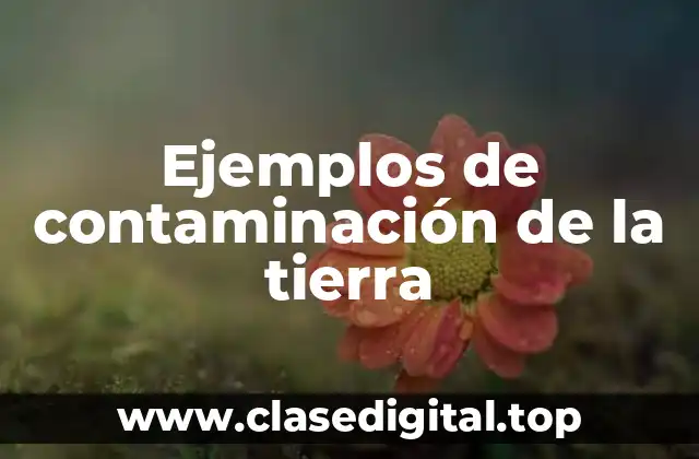 Ejemplos de contaminación de la tierra