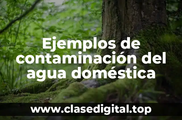 Ejemplos de contaminación del agua doméstica