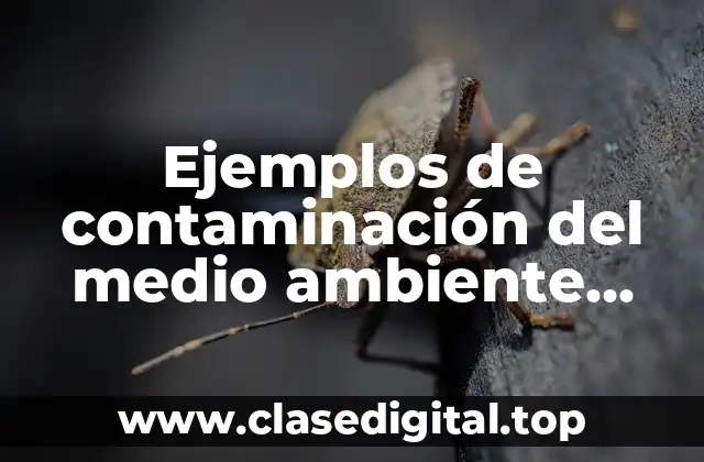 Ejemplos de contaminación del medio ambiente para niños