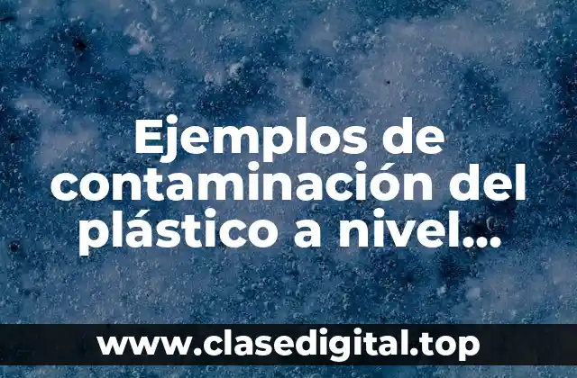 Ejemplos de contaminación del plástico a nivel mundial y Significado