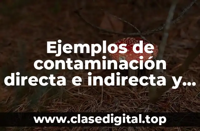 Ejemplos de contaminación directa e indirecta y Significado