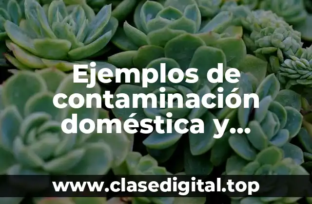 Ejemplos de contaminación doméstica y Significado