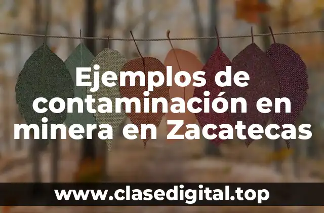 Ejemplos de contaminación en minera en Zacatecas