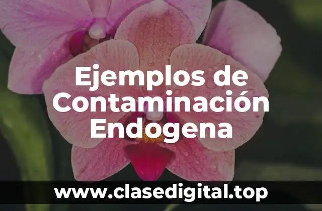 Ejemplos de Contaminación Endogena