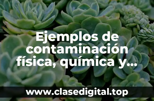 Ejemplos de contaminación física, química y biológica en los alimentos