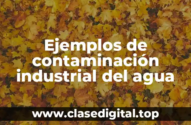 Ejemplos de contaminación industrial del agua