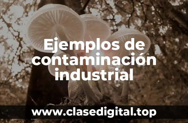 Ejemplos de contaminación industrial