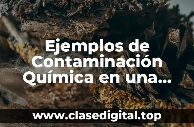 Ejemplos de Contaminación Química en una Oración