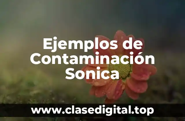 Ejemplos de Contaminación Sonica