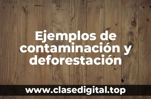 Ejemplos de contaminación y deforestación