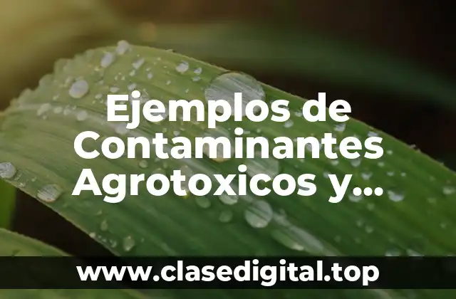 Ejemplos de Contaminantes Agrotoxicos y Significado