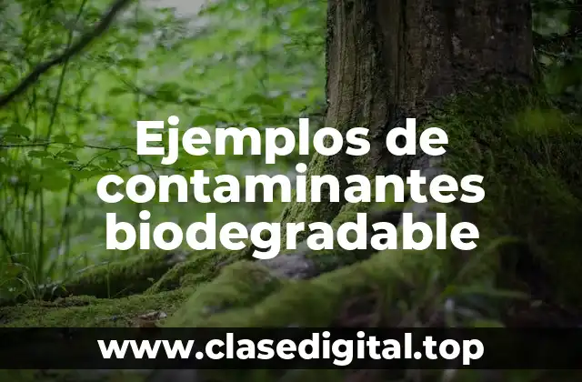 Ejemplos de contaminantes biodegradable